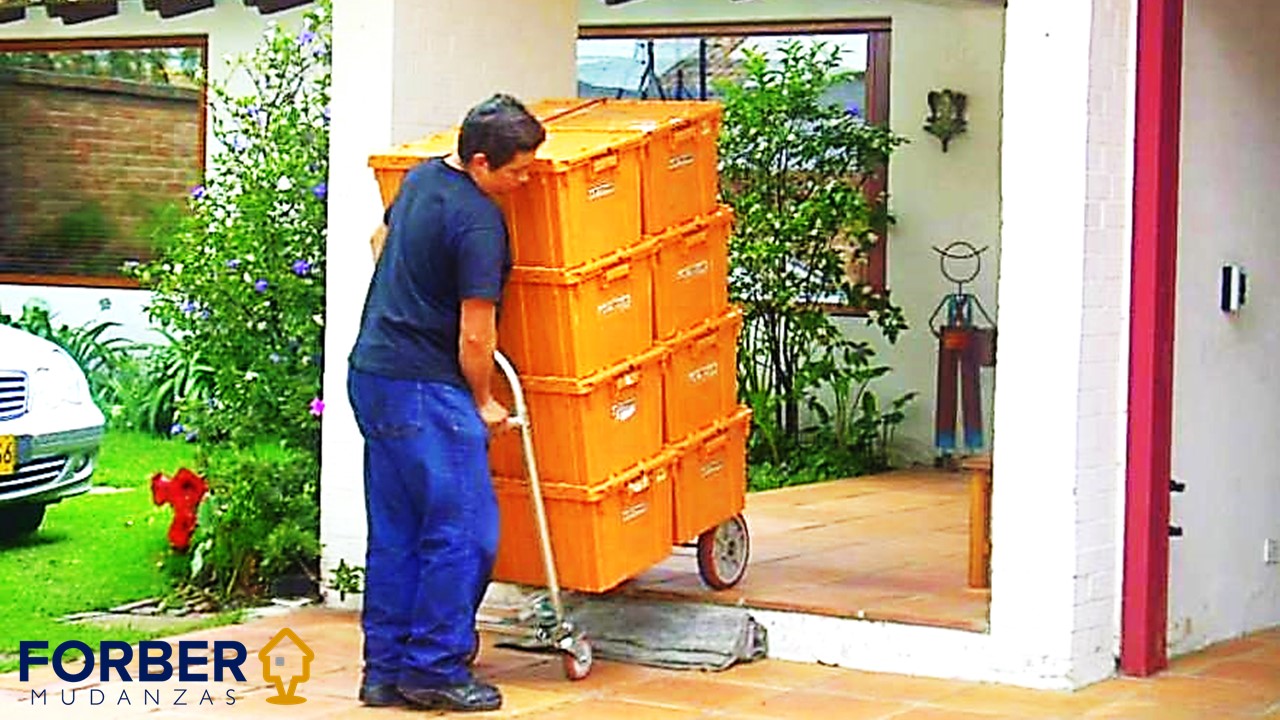 Servicio Personalizado